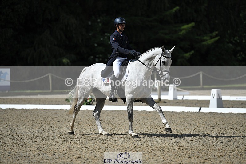 230525-103643-01746 - 314-CHANTILLY_AMATULLAH-Gaspard_Maksud-WEDTrotUp+DR