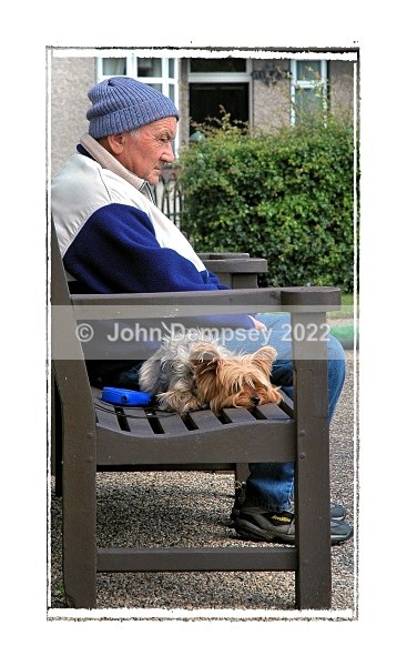 Tiny at the Hopey With Donald - Walking the Dog