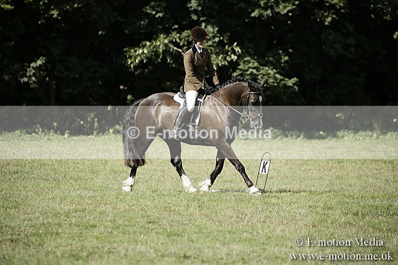 BVR090918 281 - BVRC Dressage and Show Jumping 09/09/18