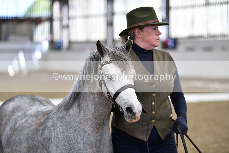 WJ5_5323 - Class 4 In hand M&M - small breeds