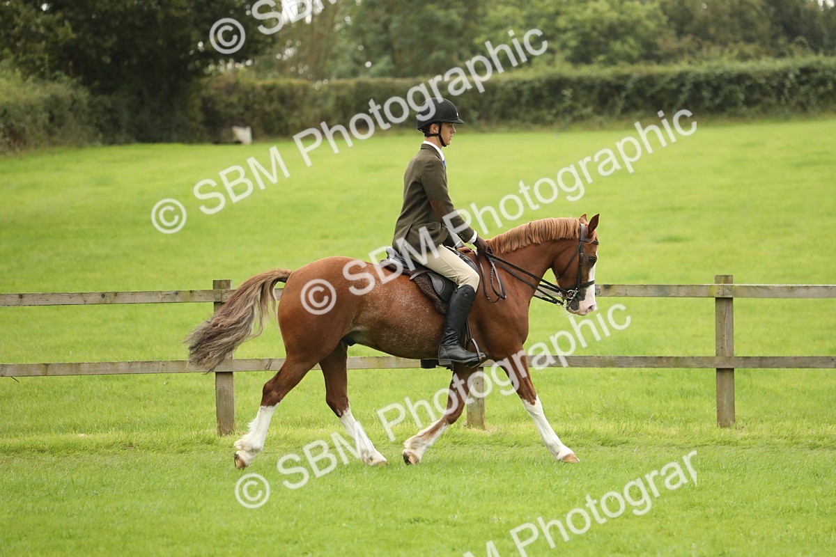 SBM_73694 - S41 - Ridden Equitation (Best Rider)