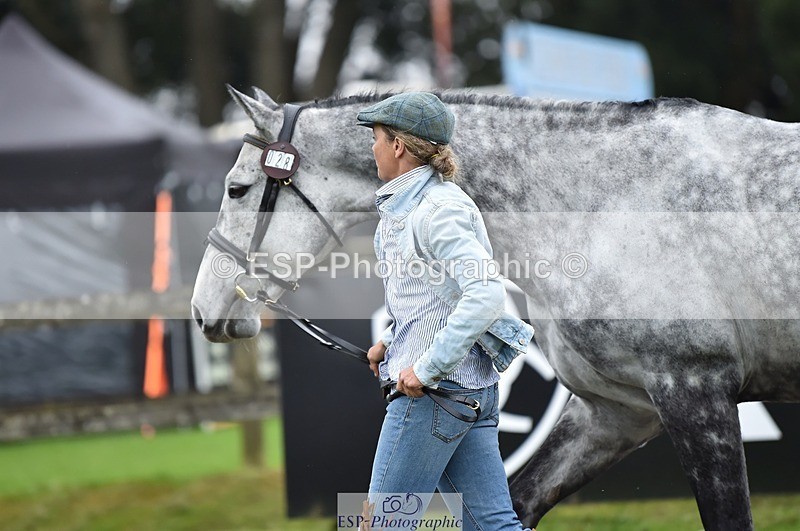 231018-122014-00219 - 028-BOLEYBAWN.COOLEY.LADY-Claire.Fielding-TrotUp