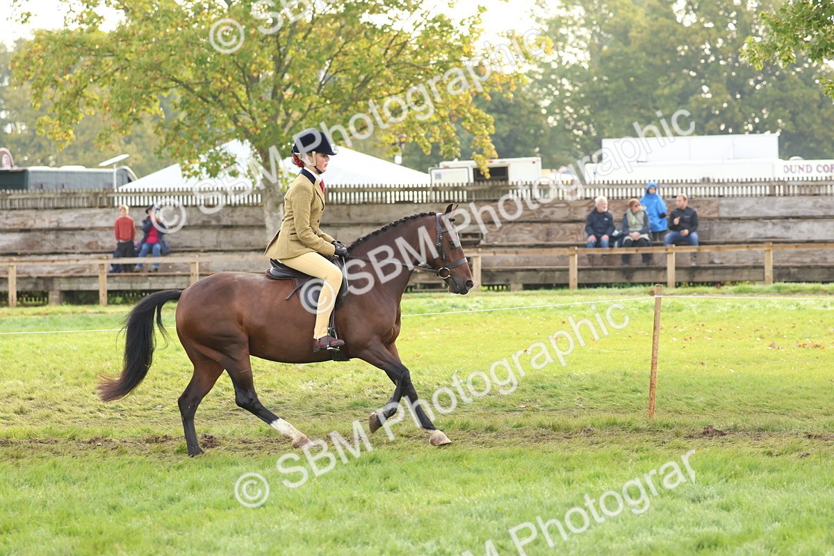 SBM_56586 - S40 - Starters Ridden Showing