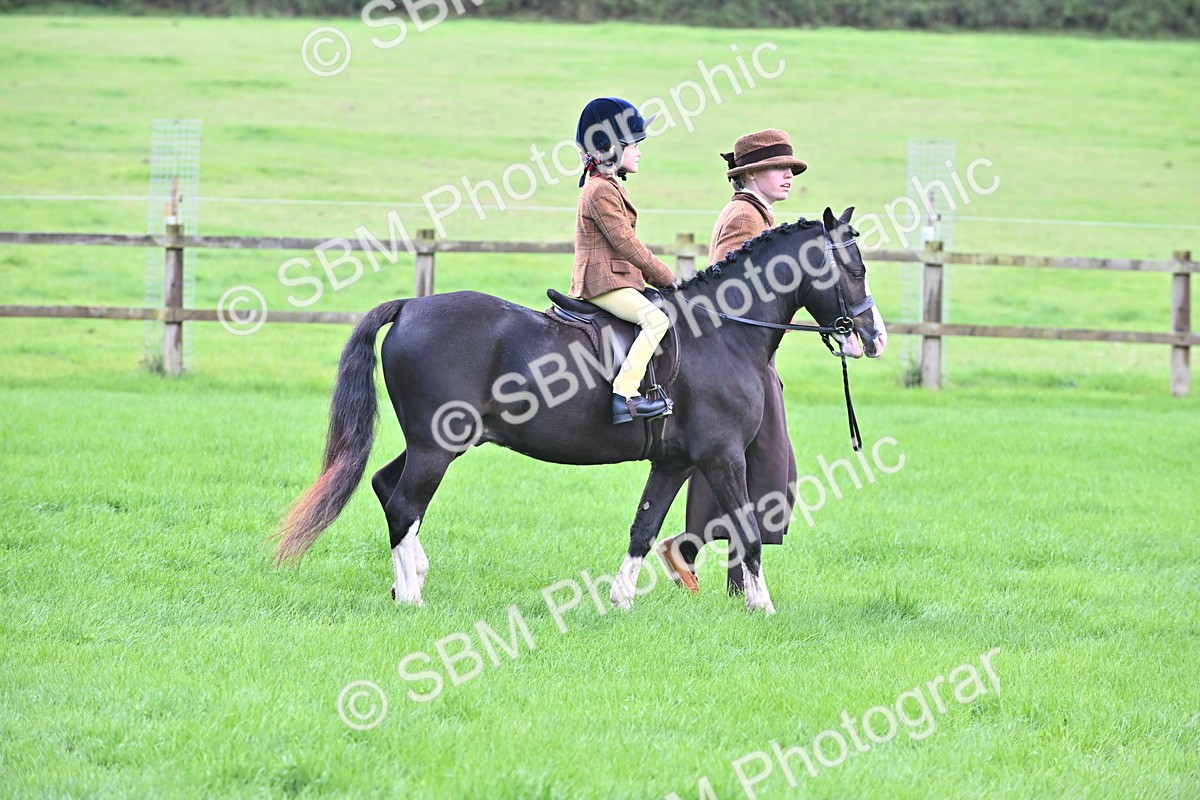 SBM_38317 - S19 - Lead Rein Show & Show Hunter Pony