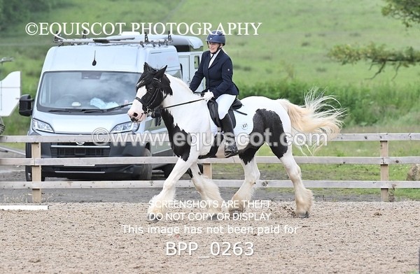 BPP_0263 - 31 E WYLLIE