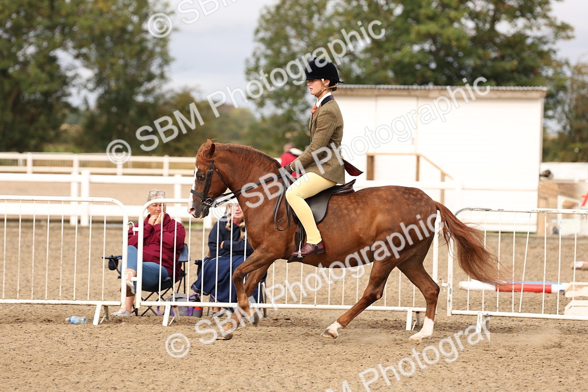SBM_01593 - Class 52 - Ridden Veteran