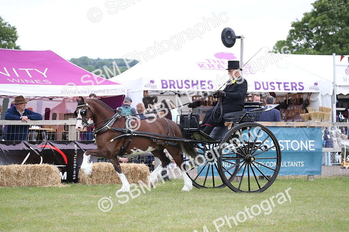 SBM_05855 - Class 12-15 - HOYS Private Driving