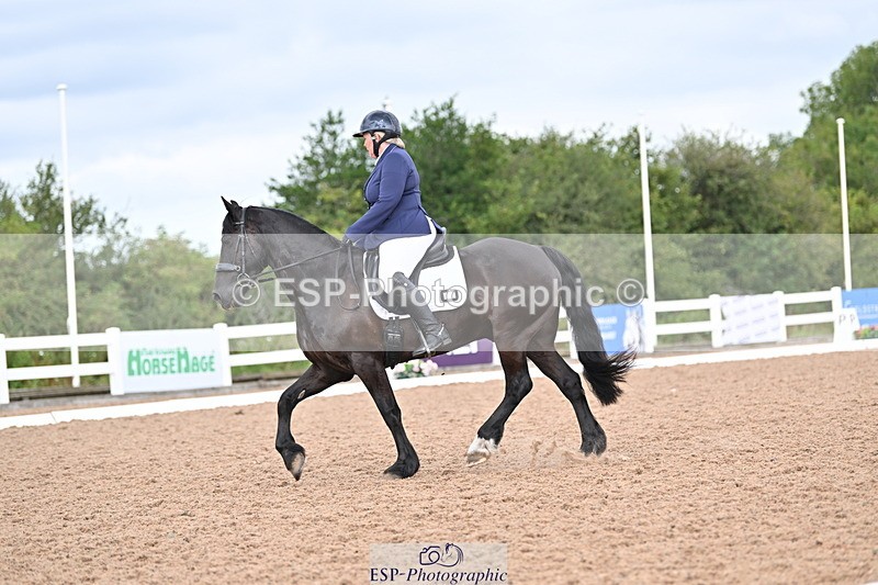 240817A-120222-08180 - 252-Alison.Andrews-Bercoed.Sambo