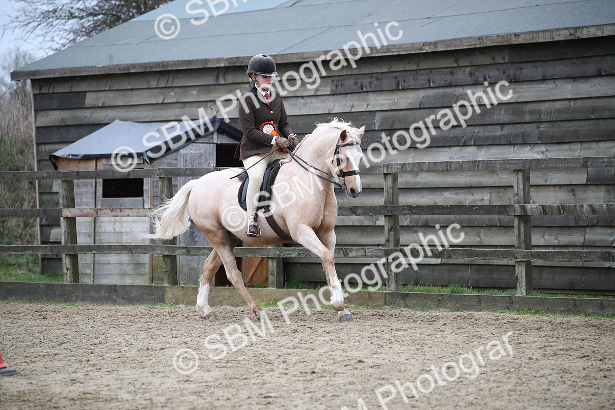 SBM_007329 - Class 10-13 - RIHS Small Large Breeds