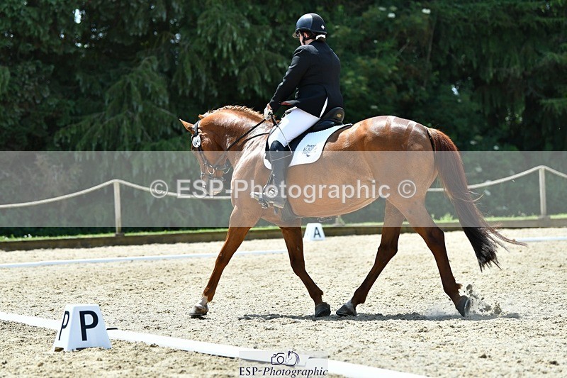 230623-125142-02276 - Cls 4 Novice 37Q 12.45 to End