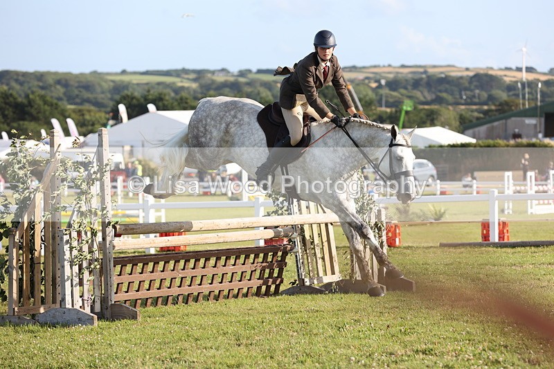 JPP_3417 - Class 22: Working Hunter 90cm