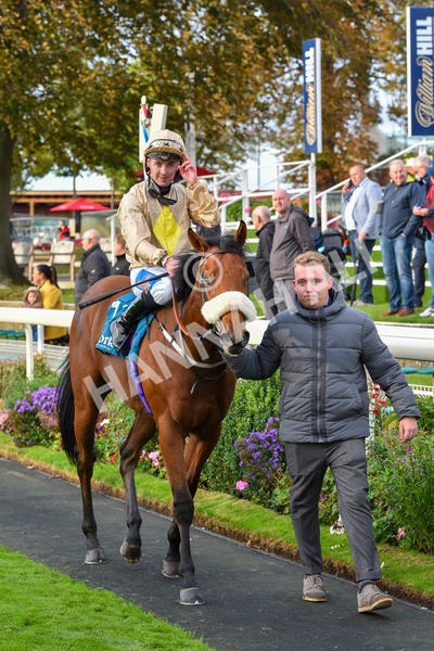 131023-Race 5-Irish Nectar-9755 - Race 5 4.25pm Parsonage Hotel And Cloisters Spa Nursery Handicap