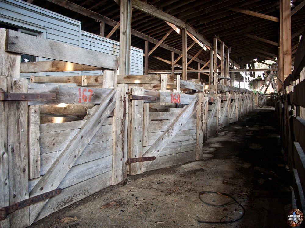 The Lancaster Stockyards | Pen Doors - Lancaster Stockyard
