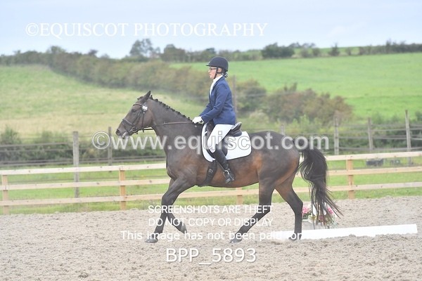 BPP_5893 - PRELIM TEST 5 LONG ARENA