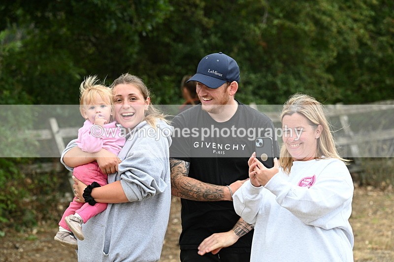 WJ7_9973 - Class 5a Most Handsome Gelding (above 14.2hh)