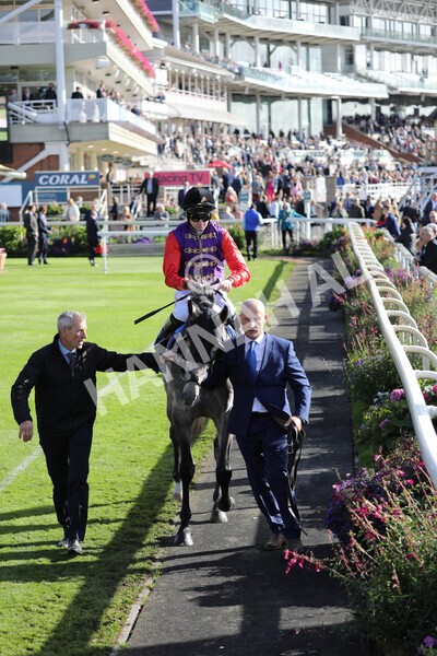 yr08102022r3-17 - Race 3 2.40pm The Coral 'Beaten-by-a-Length' Free Bet Handicap