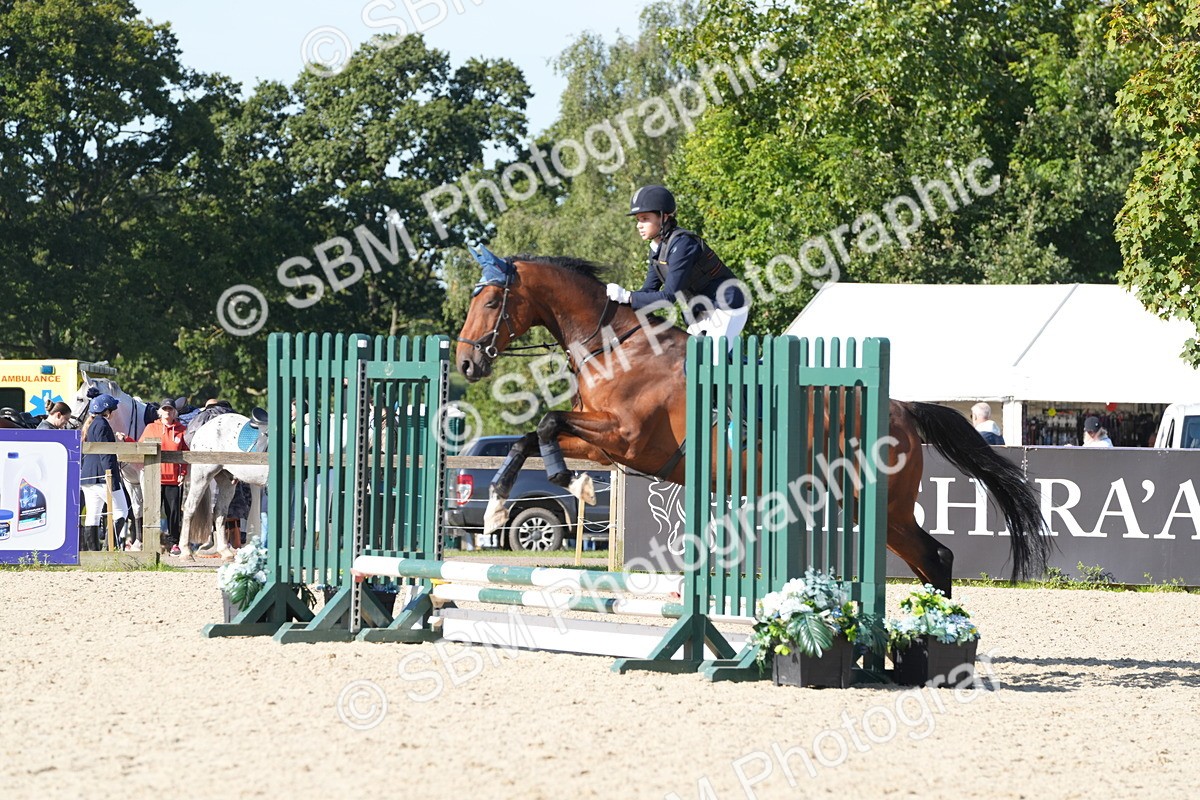 SBM_36189 - J 20 - Junior Horse 50cm Championship