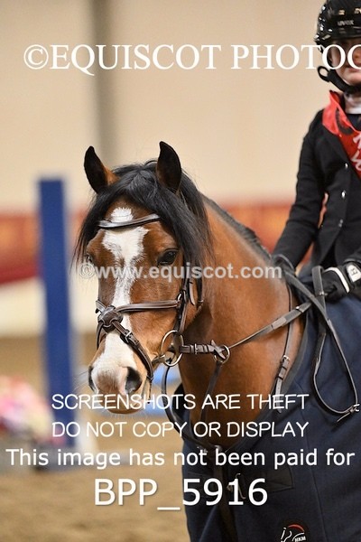 BPP_5916 - CLASS 5 PONY 50CM FINAL