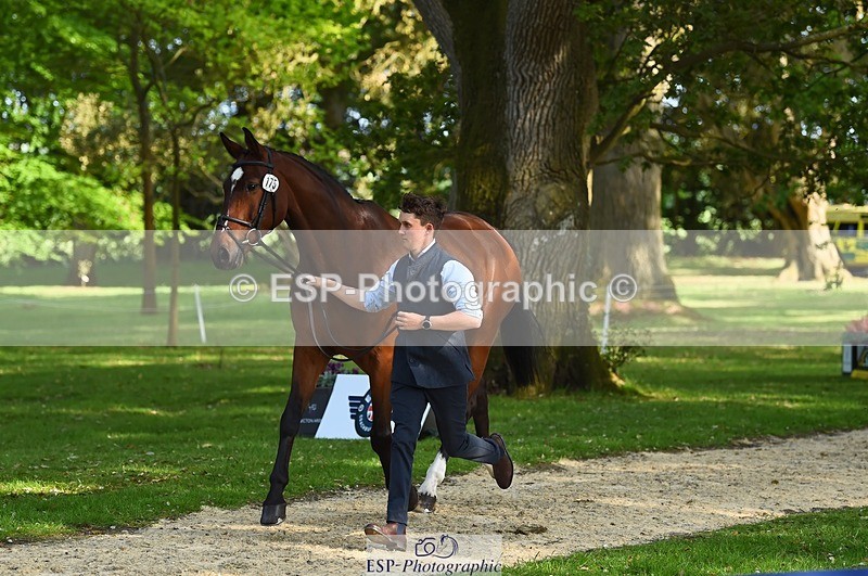 230524-172132-01460 - 175-MONBEG_EQUITY-Tom_McEwen-WEDTrotUp+DR