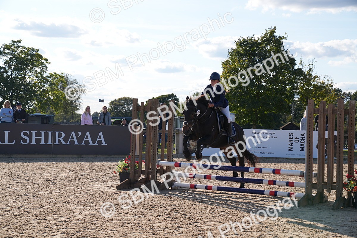 SBM_27979 - J43 - Super Speedy Scurry Open - 60cm