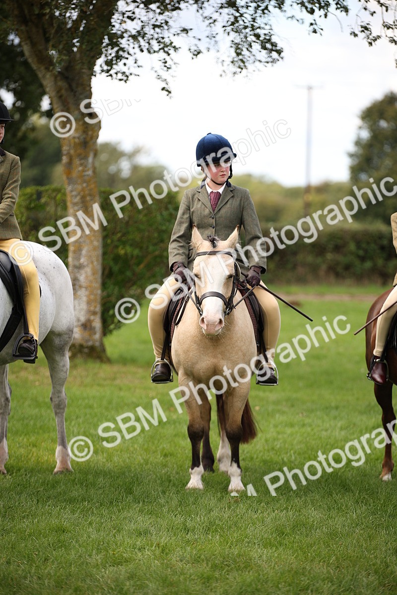 SBM_42375 - S13 - Pony Club Pony
