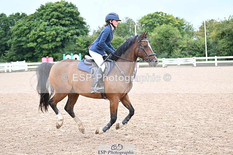 240908A-112234-03340 - Cls 18 A&B Pony Brit Nov & 80 Opern