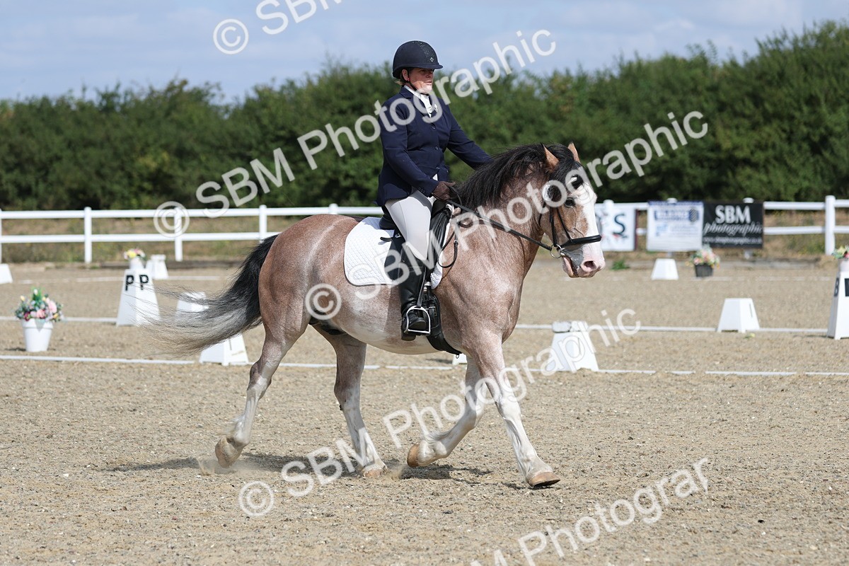 SBM_020911 - Class 21 - M5 Bronze 10.58.12.10