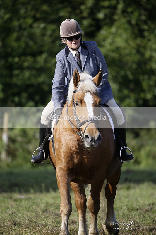 BVRC 120921 98 - Bourne Valley Riding Club UA Dressage & Show Jumping 12/09/21