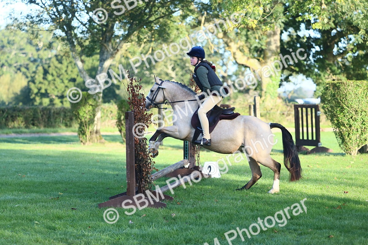 SBM_37244 - S29 - Novice & Newcomers Working Hunter Pony