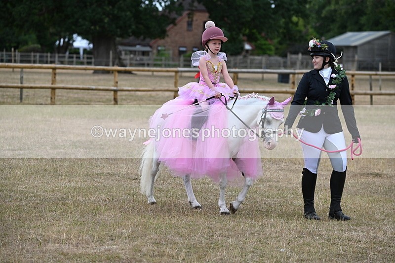 WJ6_8619 - Class 11 Fancy Dress