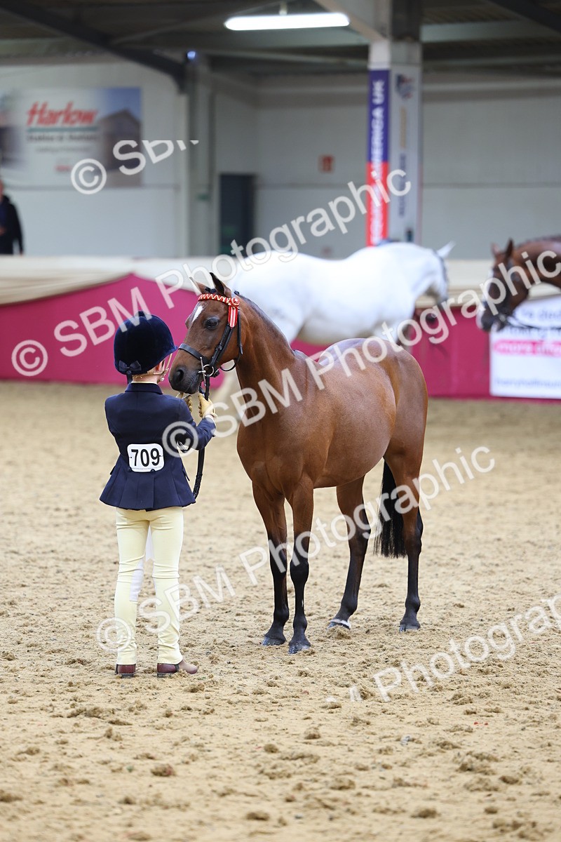 SBM_23006 - Class 903 - Supreme Final - IH Pre Vet