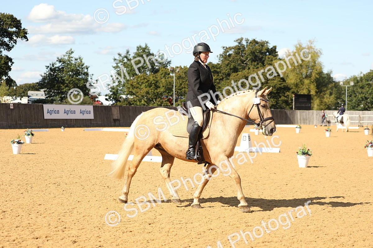 SBM_24554 - D17 - Grand Tour Championship - Novice 27
