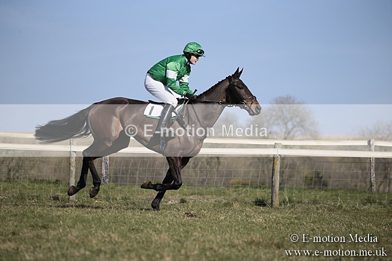 PtP 240218 199 - Vine & Craven Hunt Point-to-Point Barbury racecourse 24/02/18