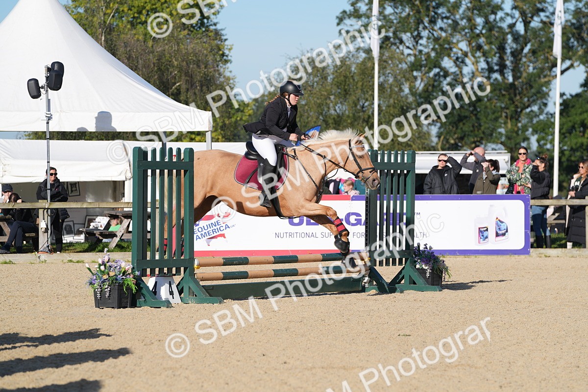 SBM_34446 - J62 - Clear Round 50cm