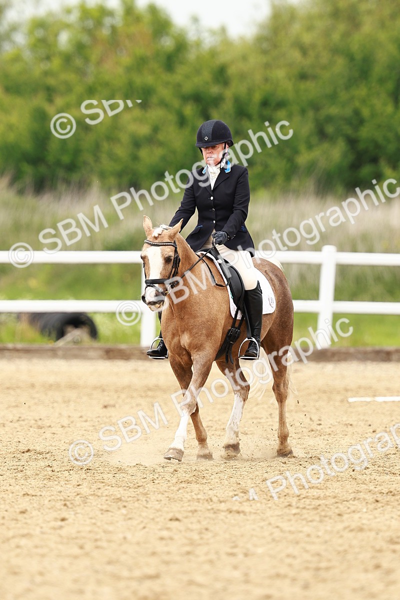 SBM_001778 - Class 7 - Novice 5
