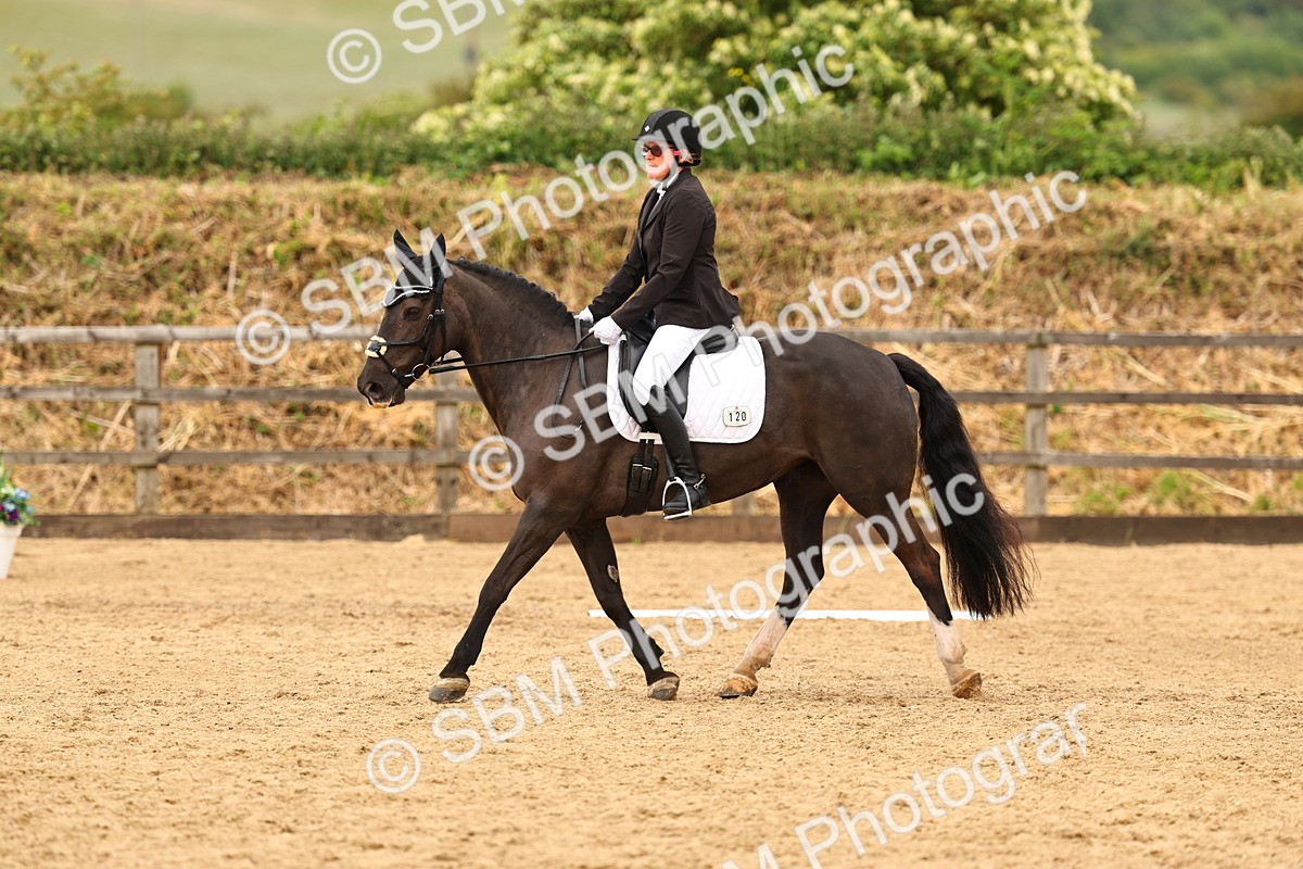 SBM_003688 - Class 7 - Novice 2