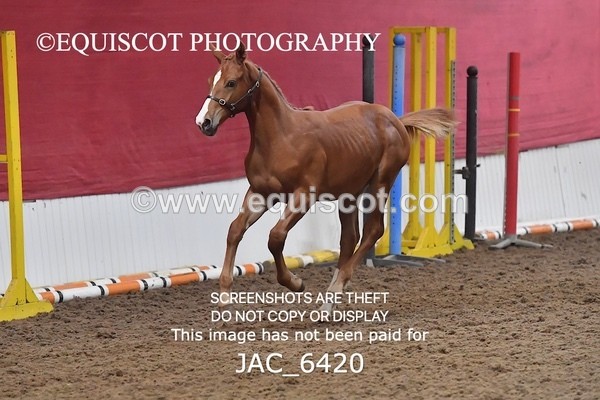 JAC_6420 - 19 Luca