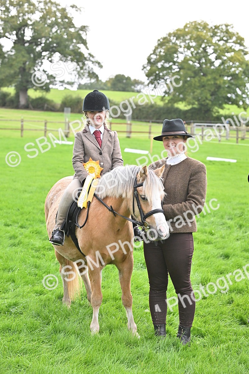 SBM_40161 - S20 - Lead Rein Mountain & Moorland Pony
