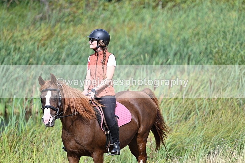 WJ7_5232 - Time 11:22 to 11:41