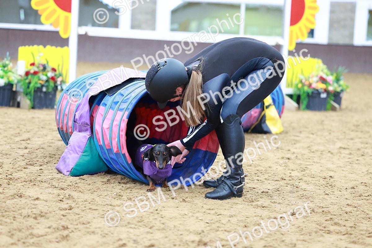 SBM_001608 - Class 3 - Horse & Hound (60cm)