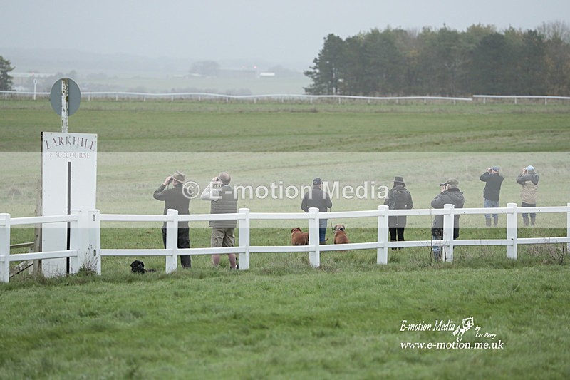 PtP 271122 784 - Hursley Hambledon Hunt Point-to-Point - Larkhill - 27/11/22