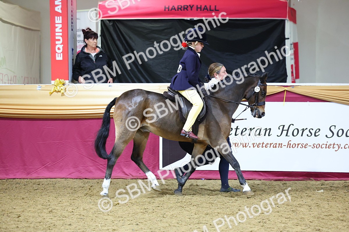SBM_18991 - Class G Ridden Pony Champ