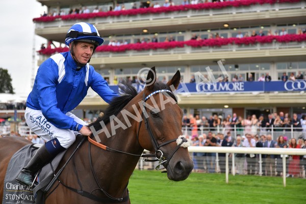 yr20082021r4-43 - Race 4 3.35pm Coolmore Wootton Bassett Nunthorpe Stakes (British Champions Series Race)
