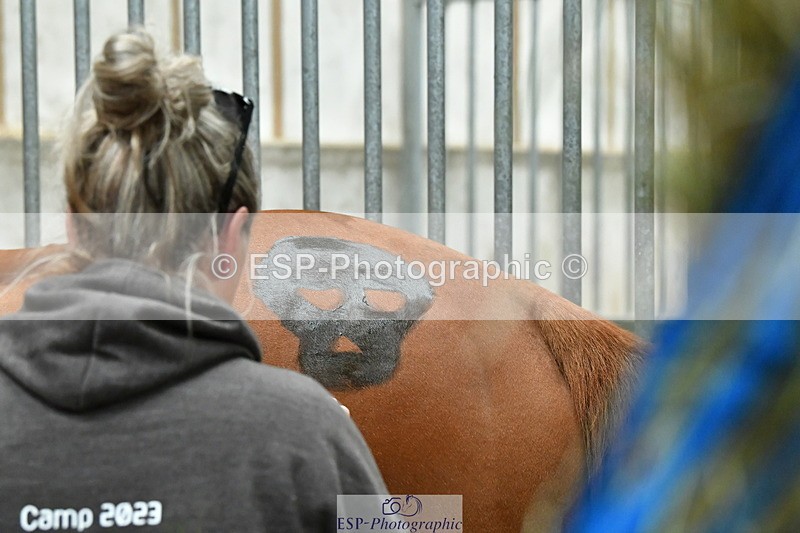 230804A-095849-02221 - Stable Shots