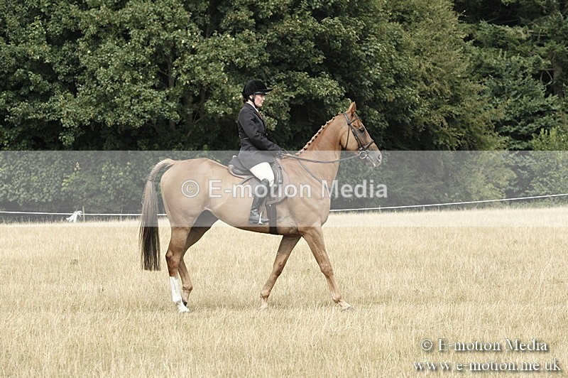 _PJP6084 - BVRC Show 2018 Ring 1