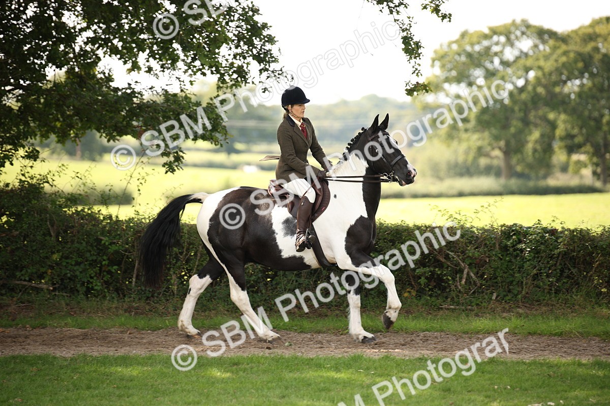 SBM_70081 - S65 - Piebald & Skewbald Horse Ridden