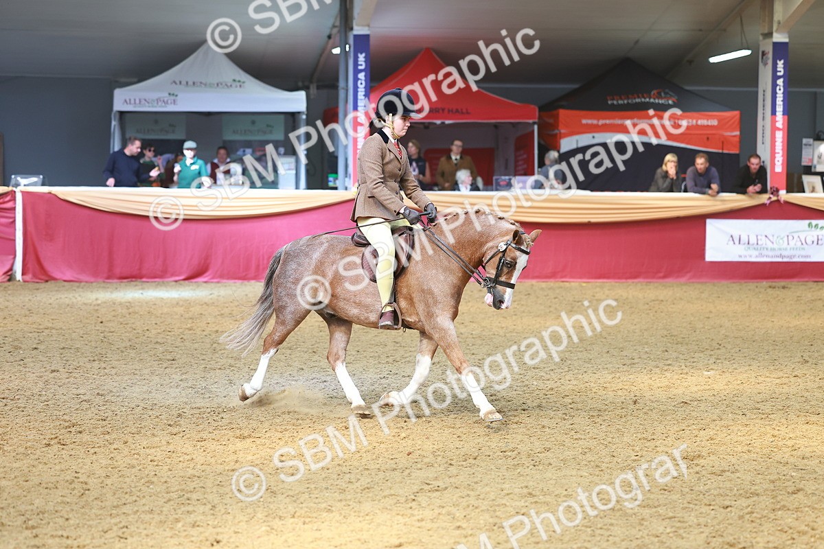 SBM_12509 - Class 103 - HOYS Veteran Qualifier - Ridden Pre Vet