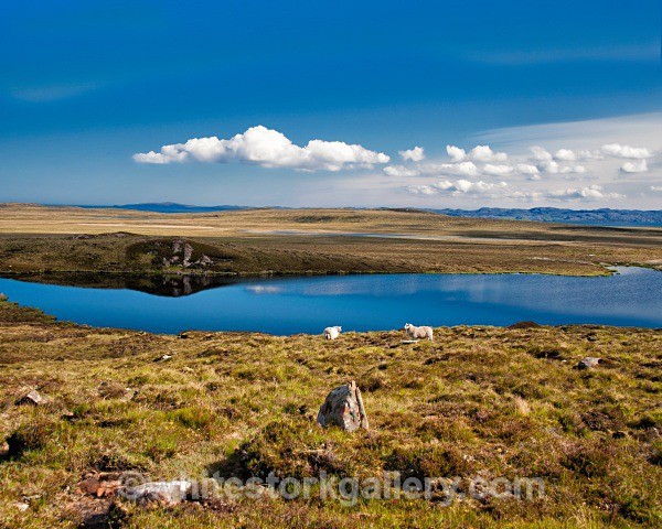 Views from Achiltibuie - Scottish Highlands