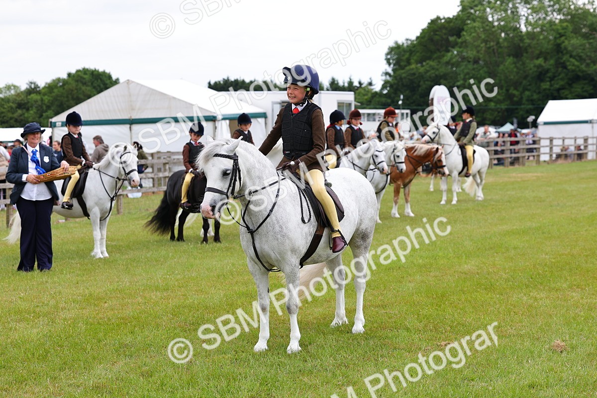 SBM_08632 - Class 42-43 - LIHS BSPS Heritage Working Sports Pony