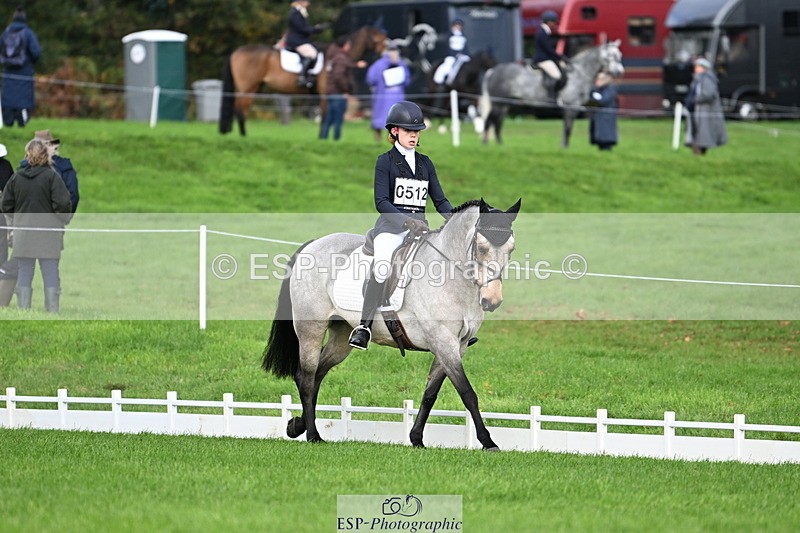 251023A-112522-03554 - G-512-Tilly.Newman-Moore